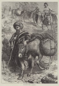 エルサレムに行く果物売り 作： William J. Webbe or Webb
